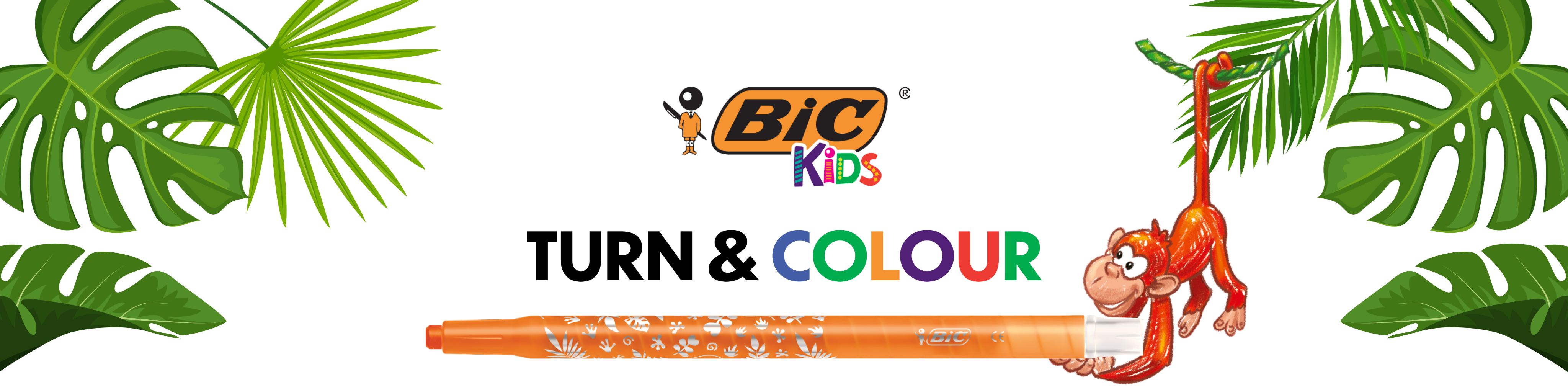 BIC Colours