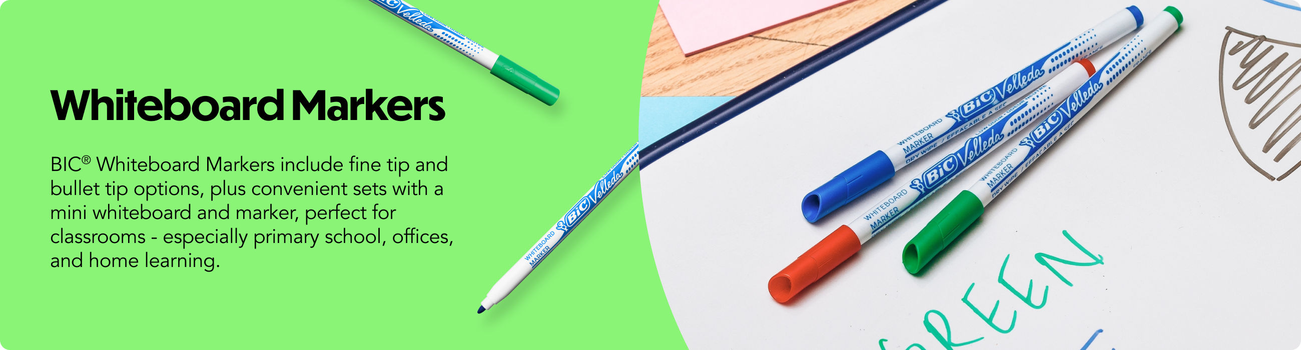 Colour Ball Pens